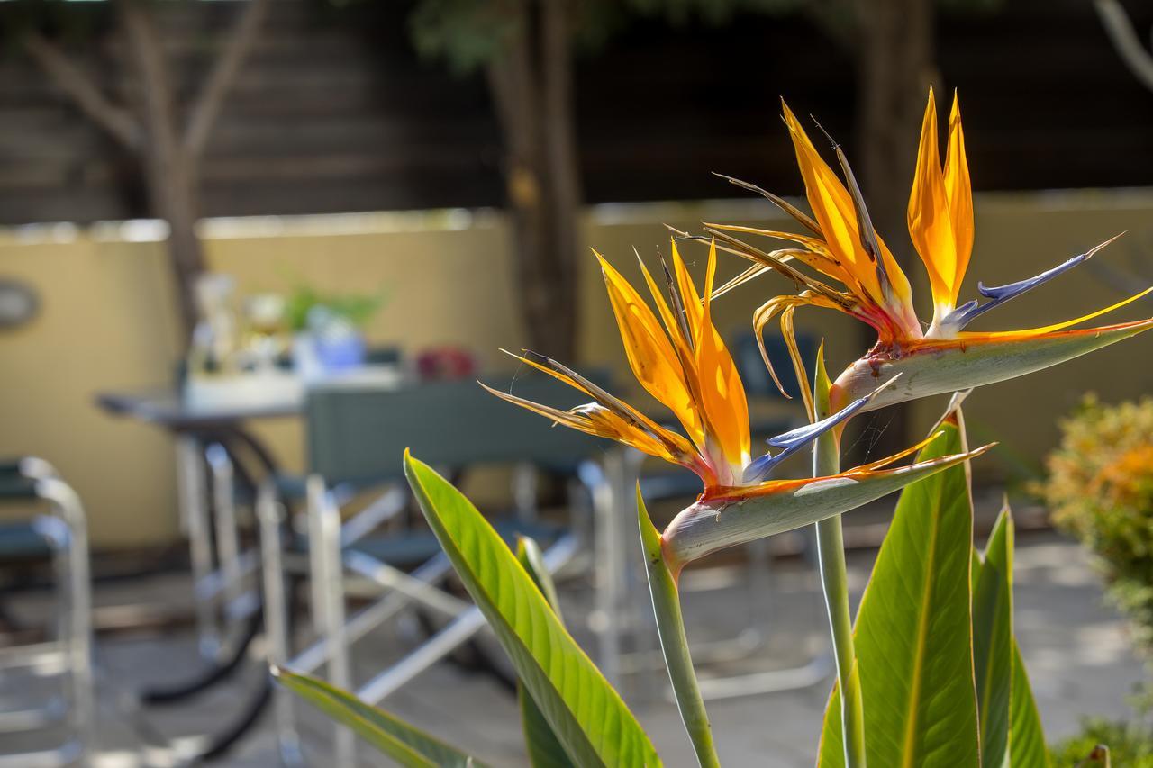Ayia Napa Tropical Beach Villa Zewnętrze zdjęcie